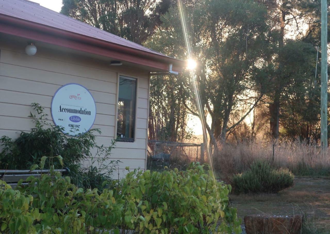 Cherry Top Farmstay - Boutique Eco Village Lilydale Exterior foto